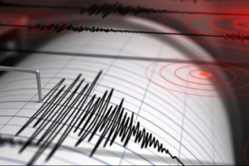 Cutremur cu magnitudinea 3,7 în județul Vrancea, la câteva minute după miezul nopții