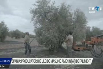 Producția de ulei de măsline din Spania, în pragul falimentului din cauza războiului comercial dintre SUA și Europa, pol al politicii fostei administrații de la Casa Albă