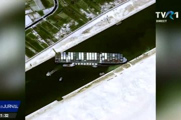 11 nave cu animale vii din România, blocate după dezastrul din Canalul Suez. Celulă de criză la Autoritatea Națională Sanitară Veterinară