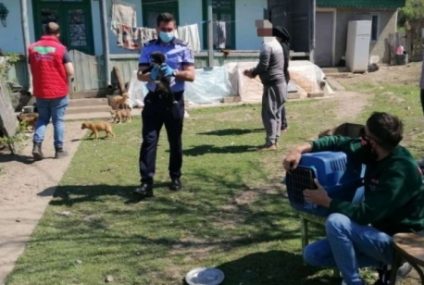 Două cățelușe cu pui au fost luate de polițiști din curtea unei nonagenare din Botoșani. Bătrâna nu avea cum să-i îngrijească