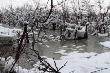 Cod galben de inundaţii pe râuri din trei bazine hidrografice din Mureş şi Harghita
