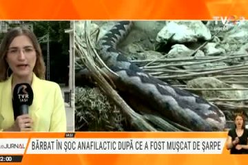 Bărbat din Iași, în șoc anafilactic după ce a fost mușcat de un șarpe
