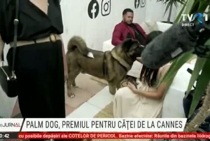 Palme Dog, premiul pentru căței de la Cannes