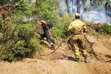 Acţiunea pompierilor români continuă în zona Spathari din insula grecească Evia