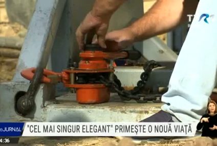 ”Cel mai singur elefant” primește o nouă viață. Pachidermul a fost tranat din Pakistan în Cambodgia