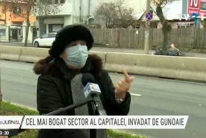 București: Sectorul 1, invadat de gunoaie