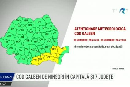 Cod galben de ninsori în sudul, estul Munteniei și în Dobrogea, luni, toată ziua. Sunt vizate 7 județe și Capitala