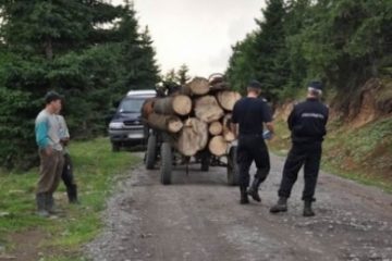 Activist de mediu atacat cu pietre, în Bucovina. Ministrul de Interne face anchetă