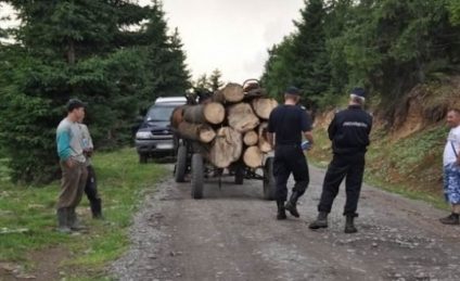 Activist de mediu atacat cu pietre, în Bucovina. Ministrul de Interne face anchetă