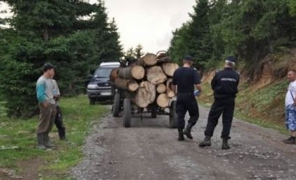 Activist de mediu atacat cu pietre, în Bucovina. Ministrul de Interne face anchetă