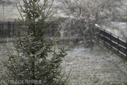 Prognoză meteo pe 4 săptămâni: Anul Nou va avea temperaturi mai mari decât cele normale