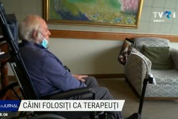 Câini terapeuți pentru bătrânii unui cămin din SUA