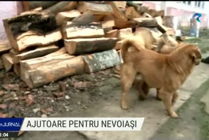 Alimente, lemne de foc și vorbe bune pentru mai mulți bătrâni din Dolj