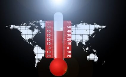 Organizația Meteorologică Mondială: 2020 încheie cel mai cald deceniu de la începerea măsurătorilor