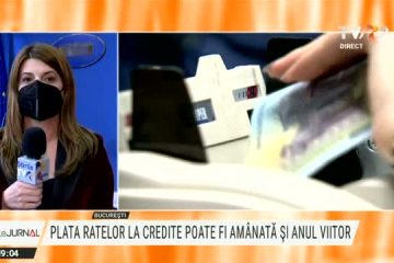 Plata ratelor la bancă poate fi amânată cu maxim 9 luni