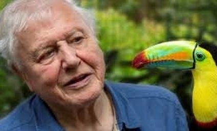 Naturalistul britanic David Attenborough: „Acesta poate fi un al schimbării pozitive, pentru noi şi pentru făpturile minunate cu care împărţim planeta”