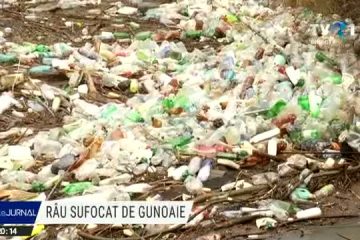 Un râu de gunoaie a ajuns până în Dunăre. Tonele de deșeuri sunt acum în apropierea orașului Orşova