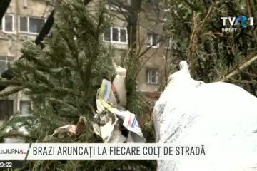 La final de sărbători, brazi aruncați la fiecare colț de stradă