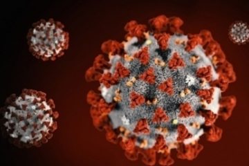 Noile variante ale coronavirusului pot conduce la rezultate fals negative ale testelor moleculare