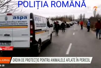 Legi noi pentru salvarea animalelor aflate în pericol