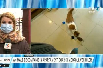 Timișoara. Animale de companie în apartament, doar cu acordul vecinilor. Primarul Dominic Fritz va propune anularea acestei prevederi