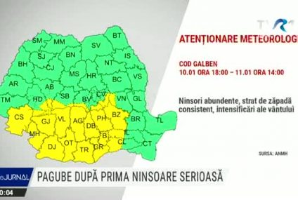 Efectele vremii: Copaci căzuți, cabluri electrice rupte, autoturisme avariate. Mai mulți bucureșteni au rămas fără curent electric