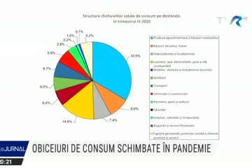 Obiceiuri de consum schimbate în pandemie. Românii au cheltuit mai mult pe alimente și amenajarea locuinței