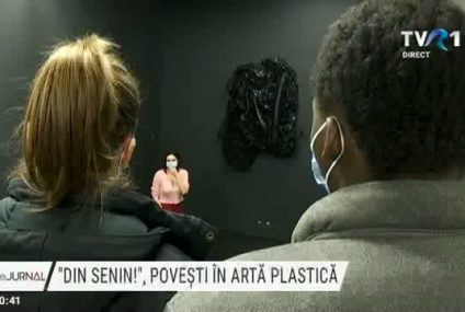 „Din senin!”, povești în artă plastică. 700 de lucrări au intrat în competiție