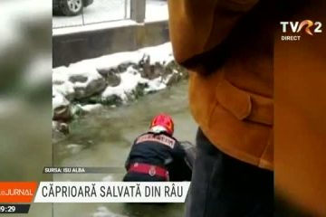 O căprioară a fost salvată de pompieri din apele înghețate ale unui râu din Alba