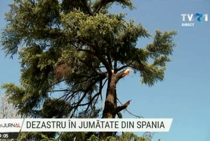 Jumătate din Spania, declarată zonă calamitată după dezastrul provocat de furtuna Filomena