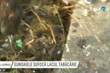 Lacul Tăbăcărie din Constanța, sufocat de gunoaie, a fost din nou curățat de voluntari