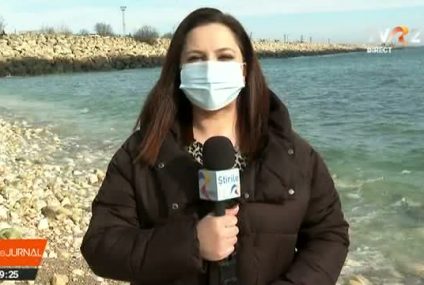 Vreme de primăvară. Lebedele îi întâmpină pe cei dornici de plimbare la malul mării