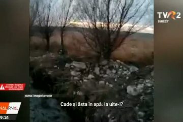 Imagini dramatice cu zeci de cai abandonați la Techirghiol. Animalele, legate în ger, fără apă și mâncare, pe malul lacului Zarguzon