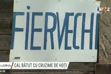 Riscă închisoarea după ce vrut să fure fier vechi și au bătut cu sălbăticie calul înhămat la căruță. Imagini cu puternic impact emoțional!