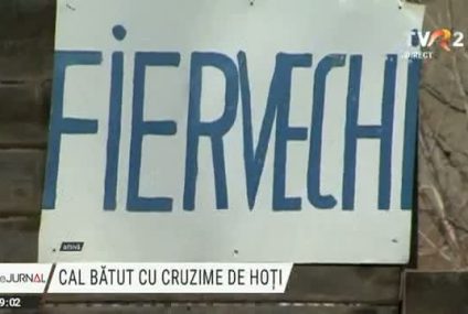 Riscă închisoarea după ce vrut să fure fier vechi și au bătut cu sălbăticie calul înhămat la căruță. Imagini cu puternic impact emoțional!