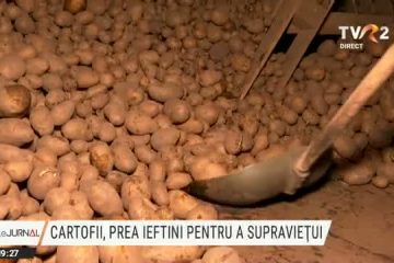 Cartofii, prea ieftini pentru a supraviețui pe piață. Producătorii au rămas cu marfa din cauza crizei sanitare