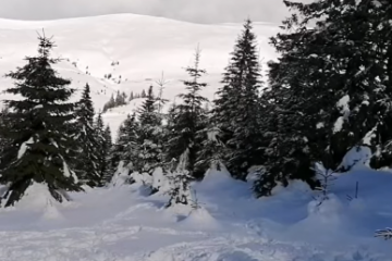 Risc de avalanşă în afara pârtiilor din Sinaia. Turiştii sunt avertizaţi să rămână pe pistele amenajate