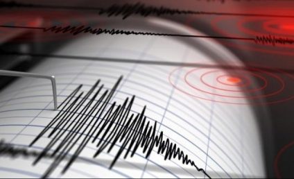 Cutremur cu magnitudinea 3,7 în județul Vrancea, la câteva minute după miezul nopții