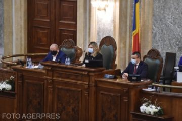 Două ordonanțe privind acordarea concediilor medicale și prelungirea termenului pentru șomaj tehnic, adoptate de Senat