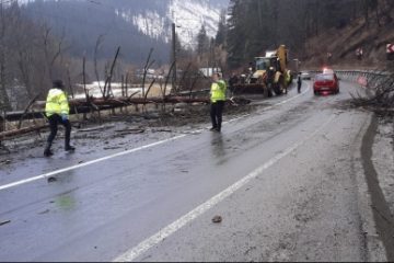 Copac căzut peste o mașină, în Iacobeni, Suceava. În autoturism se afla o familie cu doi copii din București. Femeia a murit la scurt timp după incident