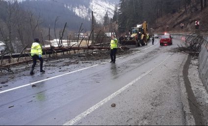 Copac căzut peste o mașină, în Iacobeni, Suceava. În autoturism se afla o familie cu doi copii din București. Femeia a murit la scurt timp după incident