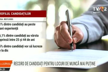 Record de candidați pentru locuri de muncă mai puține. Cele mai căutate domenii: IT, tranuri, farmaceutic