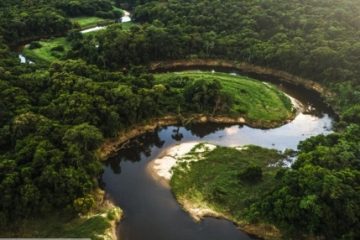 Varianta de coronavirus detectată în Amazonia braziliană ar putea fi de trei ori mai contagioasă