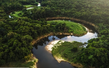 varianta-de-coronavirus-detectata-in-amazonia-braziliana-ar-putea-fi-de-trei-ori-mai-contagioasa