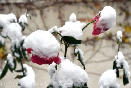 Vreme deosebit de rece în București, până luni dimineață. Minima: -11 grade Celsius