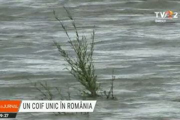 Iași: Povestea coifului de sorginte vikingă, unic în România