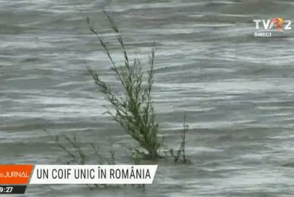 Iași: Povestea coifului de sorginte vikingă, unic în România