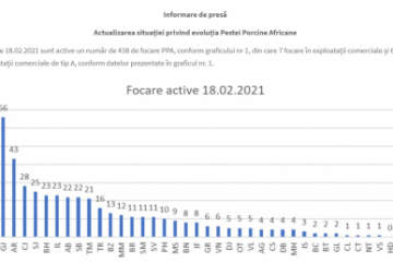 ANSVSA: România înregistrează 438 focare active de pestă porcină africană, în 36 de judeţe