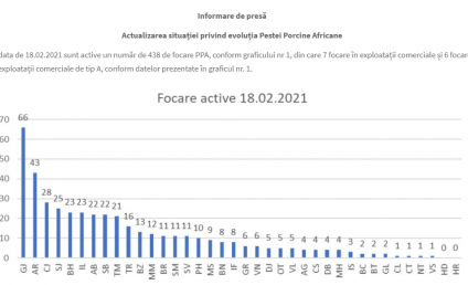 ANSVSA: România înregistrează 438 focare active de pestă porcină africană, în 36 de judeţe