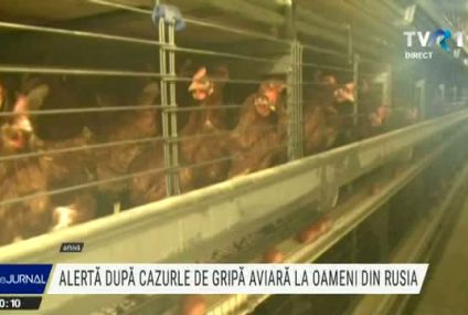 Autoritățile de la noi au intrat în alertă după ce Rusia a anunțat că a depistat primele cazuri de transmitere a gripei aviare de la pasări la om